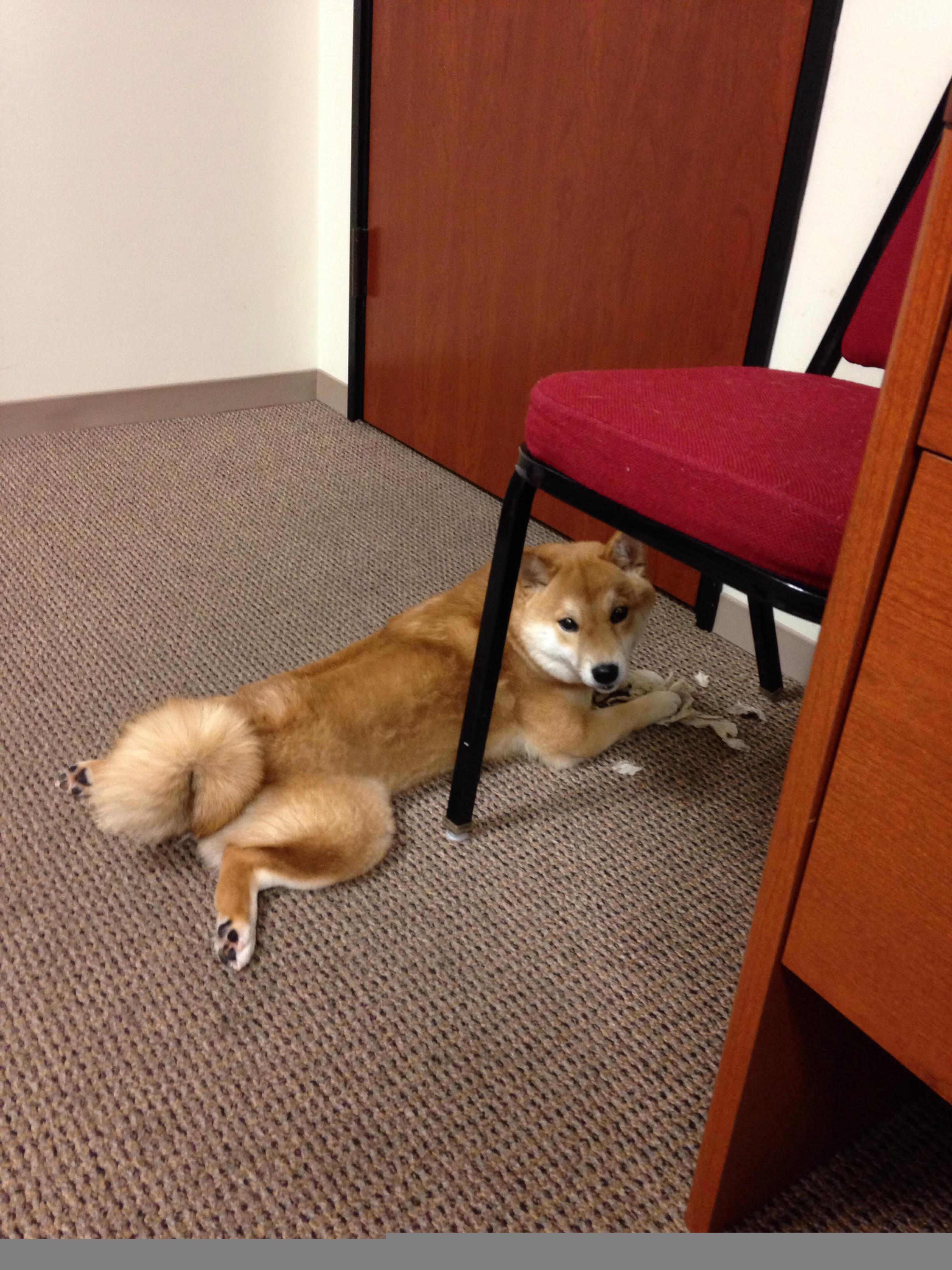 教练盛赞球员表现：他们为国争光，当教练的球星